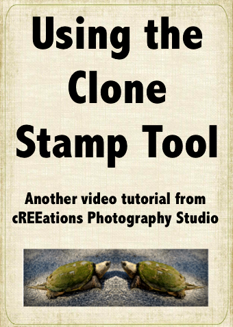 image of Clone Stamp DVD